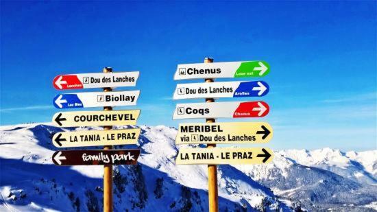 Appartement La Tania 2 Pieces Garage Dans Chalet Pied Pistes 外观 照片